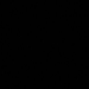 Meet your Posher, Desean